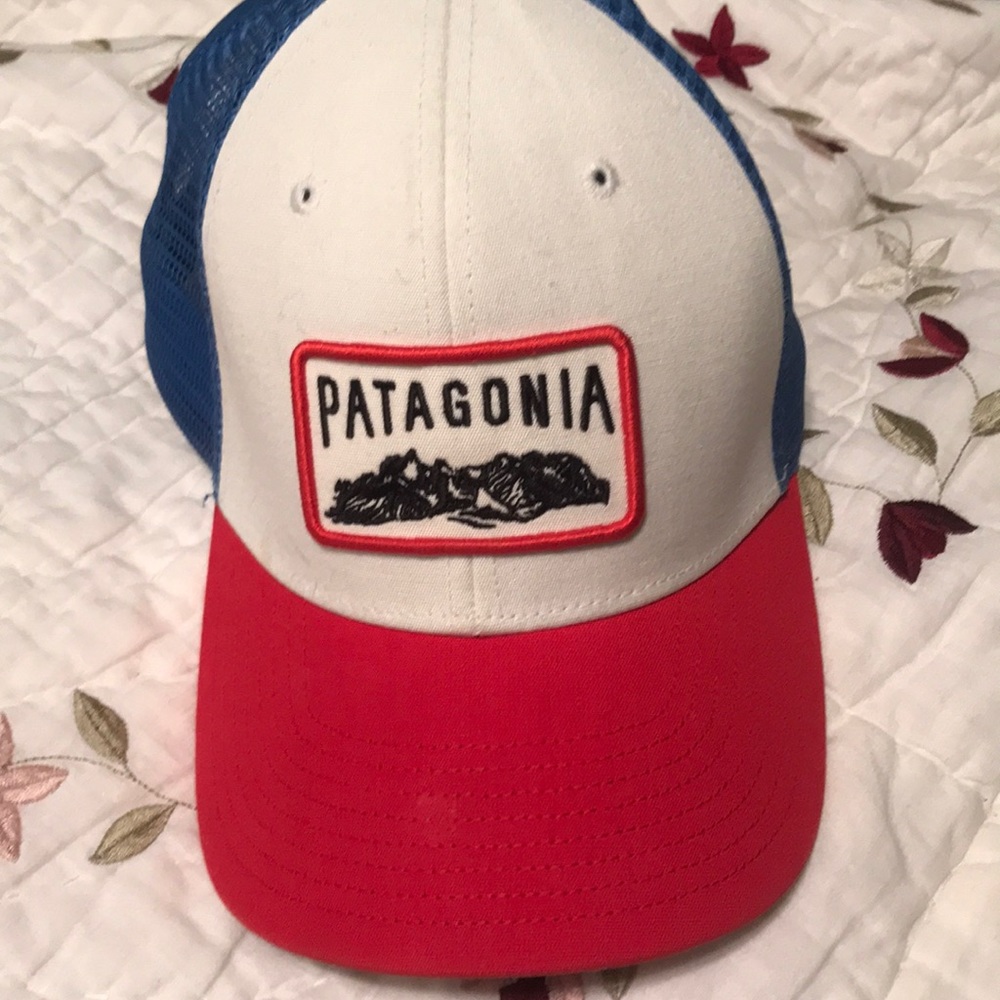 Patagonia snap back hat
